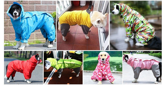 "Raincoats" Variety